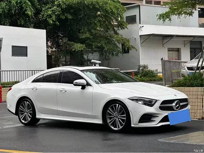 2021 Mercedes-Benz CLS Facelift CLS 300 Dynamic, фото 2, лот 10261899