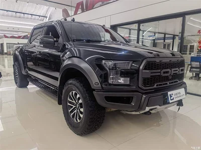 2019 Ford F-150 Raptor 3.5T Raptor Performance Enhanced Edition, фото 3, лот 10297165