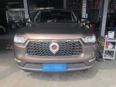 2019 Great Wall Pao 2.0T Commercial Version Manual Diesel 4WD Pilot Standard Box GW4D20M, фото 3, лот 10246393
