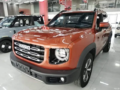 2021 Haval Big Dog 1.5T DCT 2WD Labrador Edition, фото 1, лот 10361289