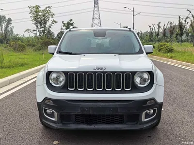 2016 Jeep Renegade 1.4T Automatic Power Edition+, фото 3, лот 10845857