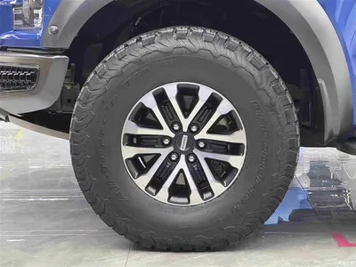 2019 Ford F-150 Raptor 3.5T Raptor Performance Enhanced Edition, фото 4, лот 10279074