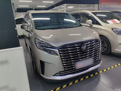 2023 Buick GL8 ES Landmaster Exclusive, фото 4, лот 10262336