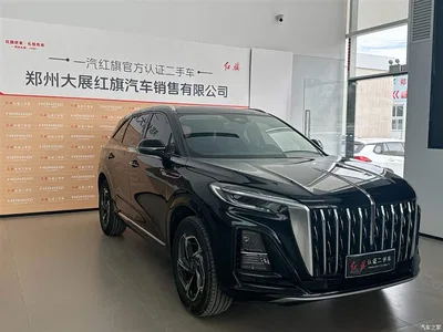 2024 Hongqi HS3 1.5T Virtue Edition, фото 3, лот 11423010