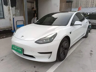 2022 Tesla Model 3 Model Rear-Wheel Drive Version, фото 1, лот 11067163