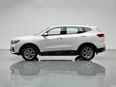 2021 Haval H6 Model National Trend Edition 1.5T Auto Champion, фото 3, лот 10296828