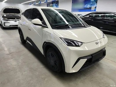 2024 BYD Seagull Glory Edition 305km Vitality Edition, фото 4, лот 10262888