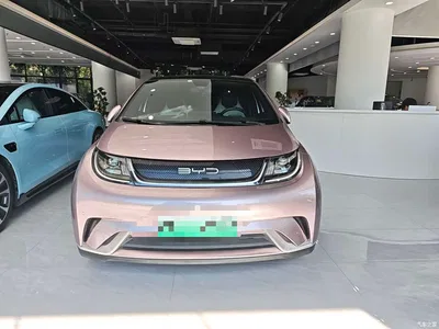 2023 BYD Dolphin 420km Fashion Edition, фото 2, лот 10253884