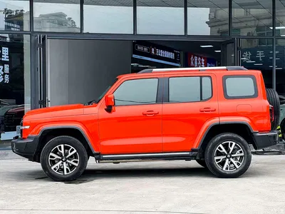 2021 Tank 300 Urban Edition 2.0T Stylish, фото 4, лот 10344731