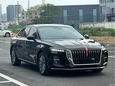 2025 Hongqi H5 1.5T DCT Qiyue 500,000 Units Commemorative Edition, фото 3, лот 10415802