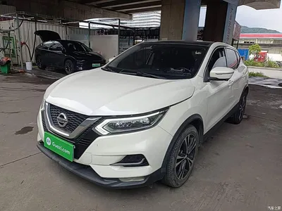 2019 Nissan Qashqai 2.0L CVT Luxury Edition, фото 1, лот 10347444