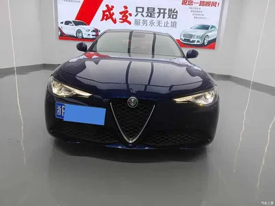 2017 Alfa Romeo Giulia 2.0T 200HP Elite Edition, фото 2, лот 10239814