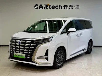 2024 Denza D9 DM-i 980 AWD Prestige, фото 1, лот 10351001