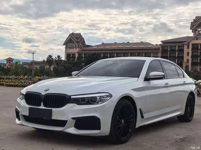 2019 BMW 5 Series Facelift 530Li Leading M Sport Package, фото 1, лот 10675523