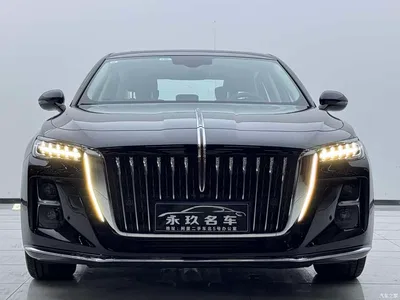 2023 Hongqi H5 1.5T DCT Smart Connect Flag Rhythm, фото 2, лот 10288534