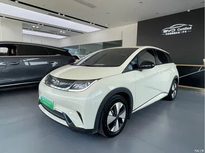 2023 BYD Dolphin 420km Freedom Edition, фото 1, лот 10254627
