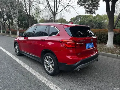 2019 BMW X1 sDrive20Li Leading Model, фото 3, лот 10466762