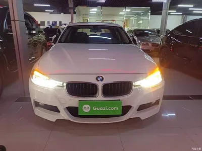 2018 BMW 3 Series 320Li Leading M Sport Package, фото 3, лот 10769352