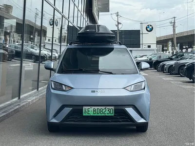 2024 BYD Seagull Glory Edition 305km Vitality Edition, фото 2, лот 10252963