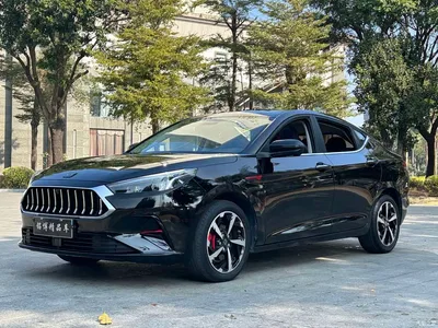 2021 Sehol A5 1.5T CVT Premium Smart Connect, фото 1, лот 10449601
