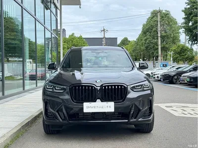 2023 BMW X3 Facelift xDrive30i Premium M Night Package, фото 2, лот 10894984