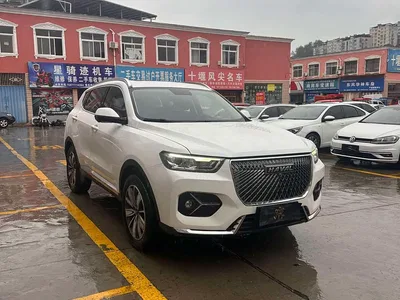 2021 Haval H6 1.5GDIT Automatic Champion Edition, фото 3, лот 10611661
