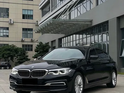 2020 BMW 5 Series 530Li Premium Luxury Package, фото 1, лот 11571688