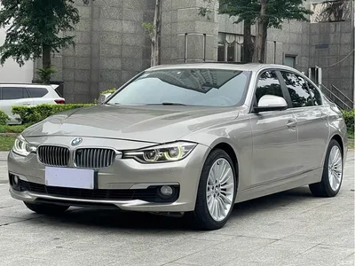 2019 BMW 3 Series 320Li Fashion Type, фото 1, лот 11219322