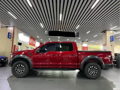 2019 Ford F-150 Raptor 3.5T Raptor Performance Enhanced Edition, фото 3, лот 10280785