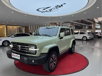2021 Tank 300 Urban Edition 2.0T Stylish, фото 1, лот 11547551