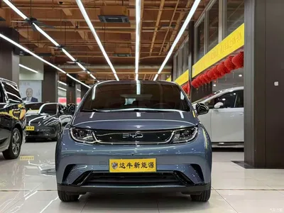2025 Byd Dolphin, фото 2, лот 10248376