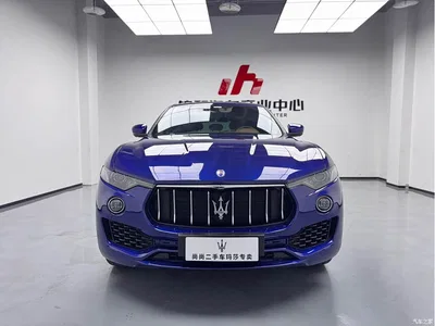 2016 Maserati Levante 3.0T Standard, фото 2, лот 10321795