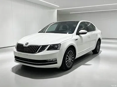 2019 Škoda Octavia 1.5L Automatic Smart Luxury China VI, фото 1, лот 10348044