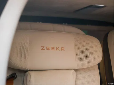 2024 ZEEKR 009 Glory, фото 3, лот 10629895