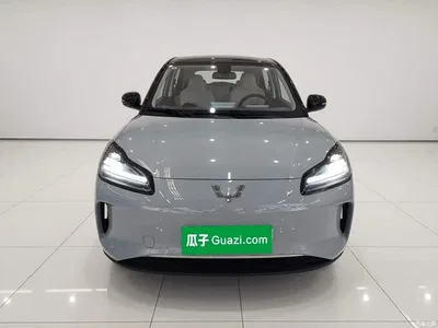 2024 Wuling Motors Wuling Binguo PLUS Model 330km 5-Seater, фото 3, лот 10835984