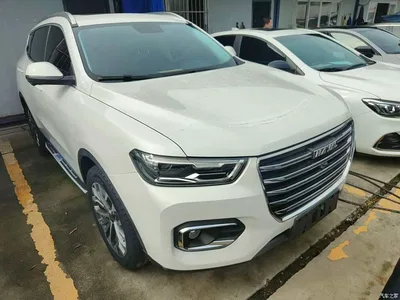 2020 Haval H6 2.0GDIT Automatic Platinum Champion Edition, фото 3, лот 11199190