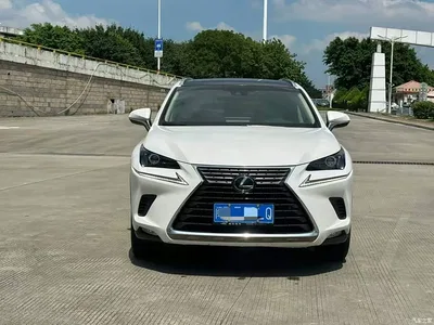 2018 Lexus NX Model 300 AWD Fengshang Edition, фото 2, лот 10479054