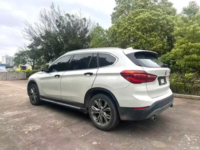 2019 BMW X1 sDrive20Li Leading Model, фото 4, лот 10465812