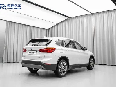 2019 BMW X1 sDrive20Li Leading Model, фото 4, лот 10466672