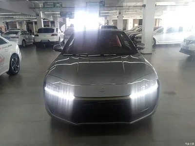 2019 Leapmotor S01 380 Pro, фото 3, лот 10441656