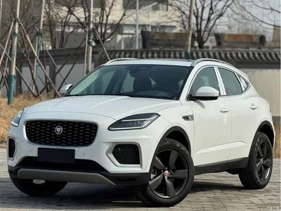 2024 Jaguar E-PACE Progressive Sport Edition R-DYNAMIC S, фото 1, лот 10360457