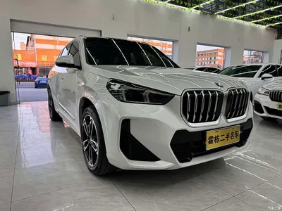 2023 BMW X1 sDrive25Li M Sport Package, фото 3, лот 10445754