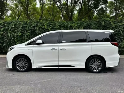2021 GAC Trumpchi Trumpchi M8 Master Series 390T Ultimate Edition, фото 3, лот 10417029
