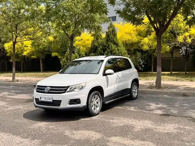2010 Volkswagen Tiguan 1.8TSI Automatic 2WD Trend, фото 1, лот 10888868