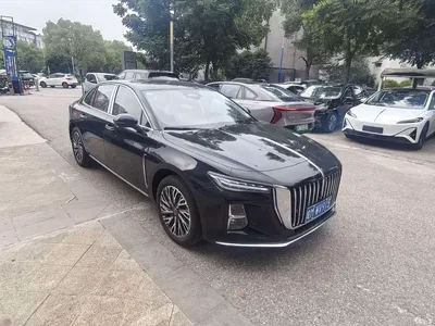 2025 Hongqi H5 2.0T Automatic Flag Celebration 500,000 Units Anniversary Edition, фото 3, лот 10288139