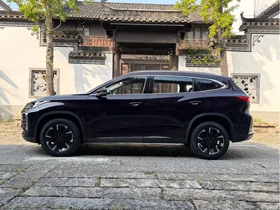 2021 Exeed Lingyun 290T 2WD Star Glory Edition, фото 4, лот 11152093
