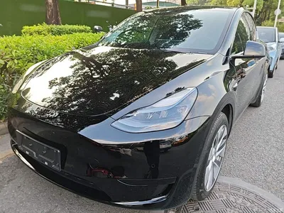 2022 Tesla Model Y Rear-Wheel Drive Version, фото 1, лот 11104238