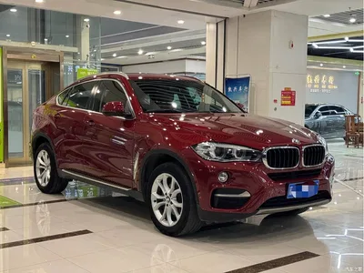 2015 BMW X6 xDrive28i, фото 3, лот 10469348