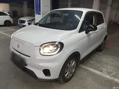 2022 Leapmotor T03 Jade Edition, фото 1, лот 10389356
