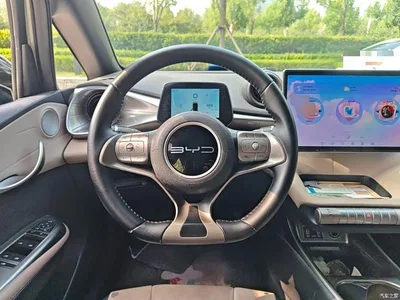 2023 BYD Dolphin 420km Fashion Edition, фото 3, лот 10264402